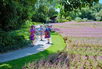 崇左+峒那屿湾+伏那秘境1日游【1单1团独立用车】【伏那秘境由于园区属于自然保护区，根据政策要求，不接待台湾及外宾，请知晓】