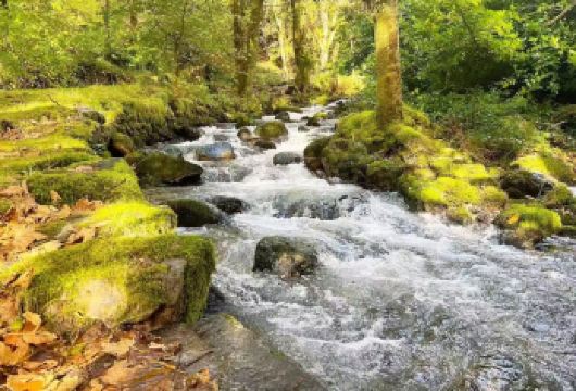 曼彻斯特往返：斯诺登山+史诺多尼亚10小时包车一日游【包车游不拼车|中文司机服务|景点可调|可定制日游】
