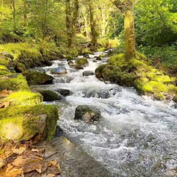 曼彻斯特往返：斯诺登山+史诺多尼亚10小时包车一日游