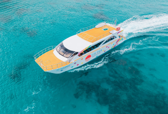 普吉岛皮皮岛+玛雅湾+蜜月岛一日游丨优选小团丨可蜜月岛追海豚【皮皮岛，东南亚数一数二的殿堂级的游泳海域，天堂般的美景】