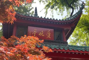 【岳麓书院】2.5H精讲·8人小团·金牌导游讲解可含门票【[金牌说讲师团]行业资深讲师和金牌导游，只做深度讲解，保证讲解质量！】