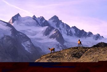 冰岛-可衔接接送机-蓝湖温泉接送｜私家包车【北欧明星路线】【[全程无忧出行]包车配备专属车辆，行李存放安全便捷】