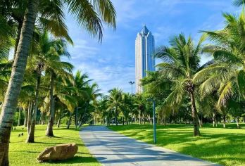 海口滨海浪漫骑行一日游-万绿园+西海岸带状公园【在万绿园租赁自行车骑行赏景，漫步西海岸带状公园观海听涛，享受滨海浪漫时光】