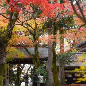 东京-长野市定制包车服务【可点对点自选-接/送时间自订】