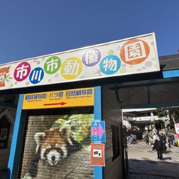 【东京Punch萌猴9人团】海鲜市场/动物园/浅草隅田川樱花