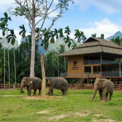老挝沙耶武里大象小镇一日游