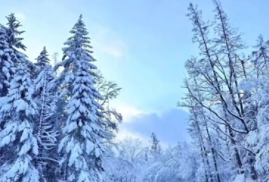 长白山仙峰雪岭/老李克湖景区一日游【[度假优选]深度体验冰雪童话世界，纯玩无购物。】