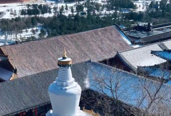 五台山一日游【太原出发·含门票、往返大巴车·精品团天天发团】【[品质保障]专享路线疑惑，客服在线解答。】