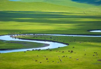 海拉尔 莫日格勒河一日往返【一单一团 独立包车】