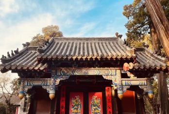 孔庙孔府研学游（讲解+绶带仪式+诵读任务+任务卡+结营证书）【[十人小团]严格把控成团人数，我们最多10人团，让导游员充分照顾到每位跟团的游客。】