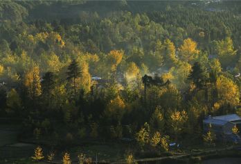 中国云南腾冲云峰山+银杏村一日游【道教名山、一览众山小、千年银杏古村落、满城尽带黄金甲[中国道教名山云峰山银杏村一日游]】