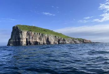 【2-6人】私家团|大连金石滩·地质公园·黄金海岸一日游【[郑重承诺]纯玩团，全程无忧。】