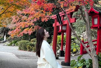 日本熊本往返由布院景点/可福冈别府大分九州多日绿牌包车-精选【精选热门景点，高效游玩不走回头路，深度了解文化内涵，贴心服务保障，轻松享受旅程，性价比超高的旅行。】