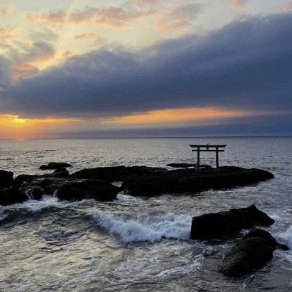 日本茨城：海滨公园+偕乐园+牛久大佛+鹿岛神宫 中文包车可调