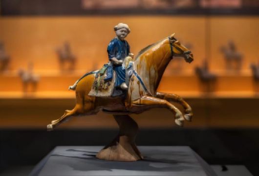 西安博物院+小雁塔2小时深度讲解·含门票预约+免费无线耳麦【文史大咖2小时深度讲解，拒绝教科书，品质无忧，细致服务】