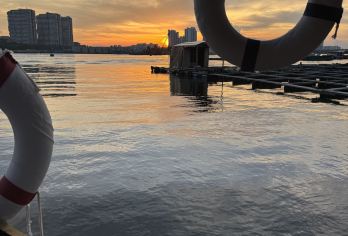 文昌东郊椰林海钓一日游【鱼排垂钓，提供渔具，饵料，渔民向导】【含避风港至鱼排往返船费】