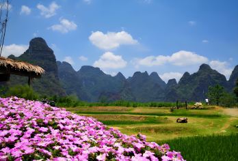 峒那屿湾含船游+德天跨国瀑布1日游8人团商务车南宁起止【精选峒那屿湾精华段，饱览徐霞客盛赞的“左江仙境”。】