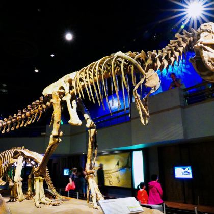 皇家蒂勒尔博物馆+Horseshoe Canyon