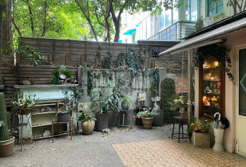 【上海文艺街区一日游】武康路+安福路+静安寺+外滩+珠江夜游【梧桐树下打卡武康大楼，游览两旁林立的文艺店铺】