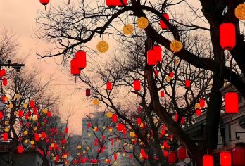 惠州市区包车10小时一日游西湖+水东街+合江楼+惠州市植物园【西湖水东合江韵，半城山色半城湖。】