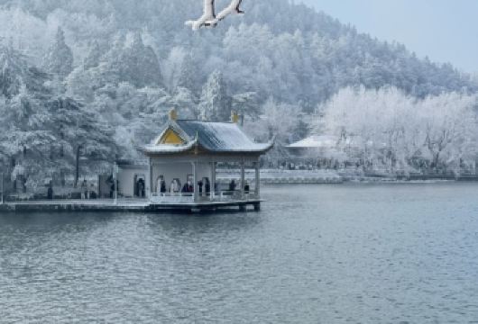 庐山风景名胜区一日活动真纯玩含门票+索道+牯岭街结束可以不下山【南昌九江特色文化旅游专线，天天发团，一人也成团，成团有保障，纯玩无购物，贴心服务】