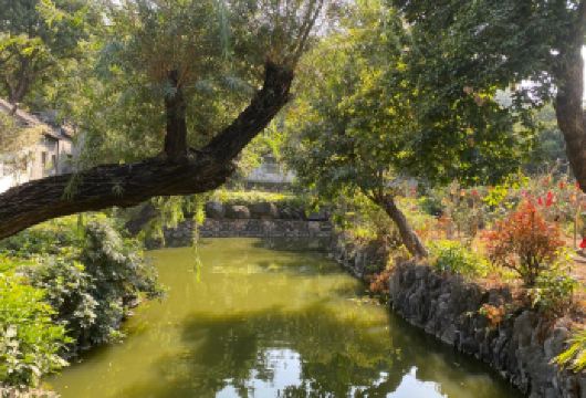 私家小团上门接送|中山影视城+孙中山故居+詹园+崖口村一日活动【私家旅行：一单一团，不拼客，专属旅行； 品质服务：车上门接送，专职司机护航】