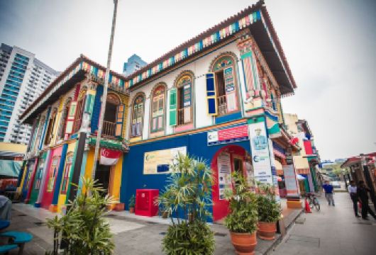 新加坡鱼尾狮公园+滨海湾花园一日游【新加坡经典市区游览】【10点庄家大酒店门口集合，如需酒店上门接/送，88元/人/趟，2人起订，若一个人需支付160元/趟】