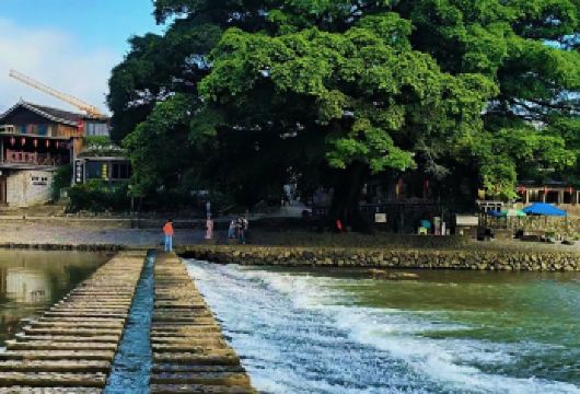 福建土楼(南靖)景区+云水谣一日游【赠登楼体验+上门接送】【[懒人团]不赶时间，睡醒再出发，无需早起，全高速，节约车程更方便，成人一价全含，体验客家特色午餐。】