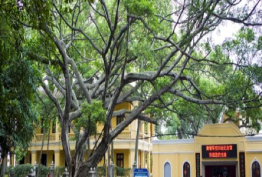 黄埔军校旧址纪念馆+广汽科技馆一日活动【私家团@亲子研学游】【厚植家国情怀，参观黄埔红色印记丨】