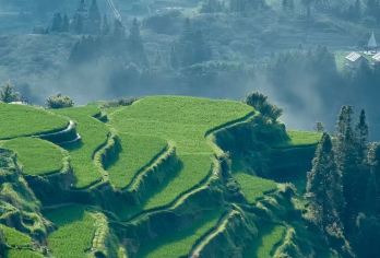 黄果树瀑布+天星桥+陡坡塘【可选英语/多语种地陪】【亚洲大瀑布（77.8米落差），穿越水帘洞】