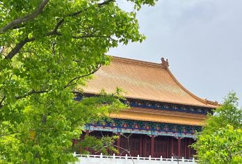 宿迁水城苏北小三亚+皂河古镇+项王故里一日游英文服务【提供多语种服务、全程专车接送、热门景点门票代订一站式旅行服务】