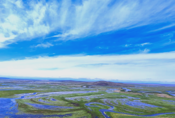 海拉尔往返 呼伦贝尔大草原+莫日格勒河+额尔古纳湿地+白桦林【海拉尔往返一日游 穿越大草原1日】