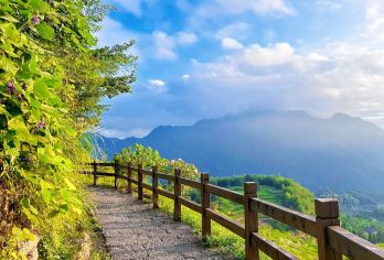 丽水云和梯田+古堰画乡 包车一日游【丽水及周边包车多行程可选【高品质纯玩无购物】