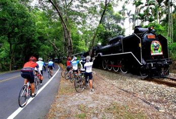 集集鐵道與蛇窯陶藝體驗一日遊【集集綠色隧道、集集火車站、車埕火車站、水里蛇窯陶藝】