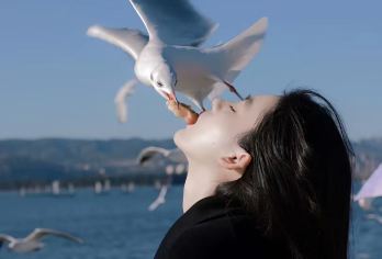 【环湖公路】博斯腾湖莲海世界+大河口+白鹭洲+海心山一日游【[品质保障]含景区门票，景区游玩时间充足无套路】