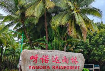 黎苗村寨槟榔谷纯玩品质一日游【国家4A级风景区，原生态黎苗文化的活态博物馆；】