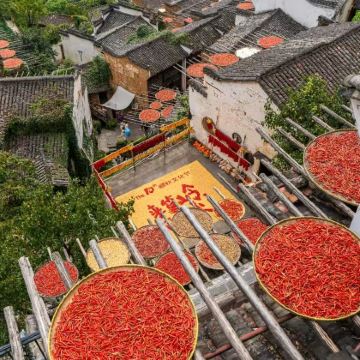 婺源篁岭半日游【春季赏梯田油菜花-可选6人小团上午/下午班】