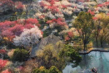 杭州西溪湿地+宋城+千古情表演【纯玩无购物】一日游【优选行程 畅游地标景点，寻国家宝藏，赏世界文化遗产，漫游古街感受此座老城慢时光。】