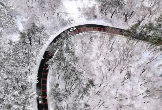 济州岛一日游｜西南线冬季限时｜汉拿山｜追海豚｜小羊｜精品小团【济州岛网红打卡：海豚公路+小羊肖恩牧场+柱状节理带+Helloktty猫+涯月邑+泰迪熊+实弹射击】