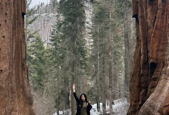 美国旧金山-优胜美地+美洲杉/帝王峡谷-包车-精选【专属客服和本地中文司机，一家一团包车】