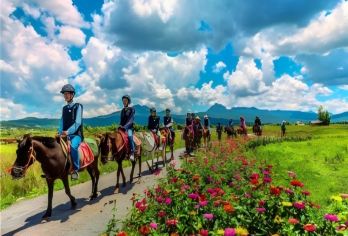 丽江拉市海湿地景区茶马古道骑马+会所皮划艇【丽江古城附近接送】