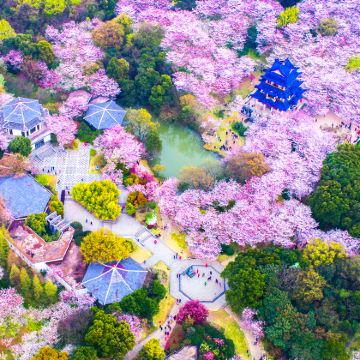 商务车丨可选英文导游丨上海出发+蠡园+鼋头渚+南长街