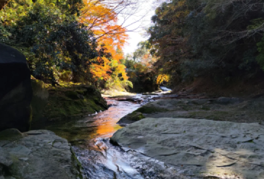 东京-千叶（山海佛寺·历史文化与自然奇景线）包车游 上门接送【震撼景观 + 千年古寺】