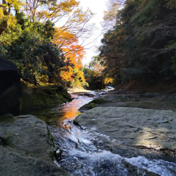 东京-千叶（山海佛寺·历史文化与自然奇景线）包车游 上门接送