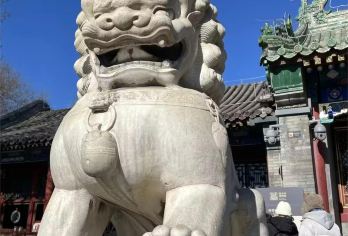 恭王府+颐和园+圆明园一日活动【品质出游】