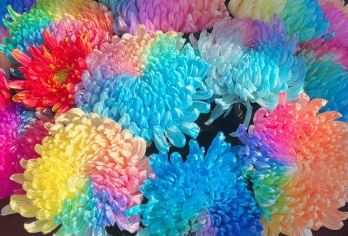 开封龙亭景区+天波杨府+翰园碑林+城墙+铁塔公园-菊花文化节【自由把控时间（3天内有效）】