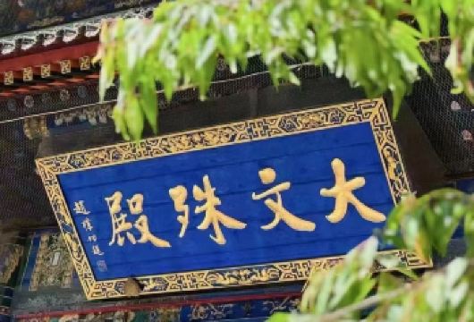 五台山一日游（专业持证导游讲解，无隐形消费）【讲解专业，经验丰富，暖心服务，真诚负责，佛学导游，无隐形消费】