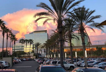 美国洛杉矶比佛利山+灰石豪苑+洛杉矶郡艺术博物馆+日落大道【私属小团/热门优选/行程可调】