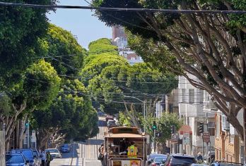 美国洛杉矶私家包车一日游/景点任选/中文司机【暑期早鸟特惠】【免费量身定制行程，多日行程包车巨惠！详情可咨询客服人员！】