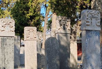 洛阳龙门石窟+林庙+牡丹阁+应天门遗址包车一日游-可英文服务【可提供英文及小语种导游服务-往返接送-可选导游-可代订门票】